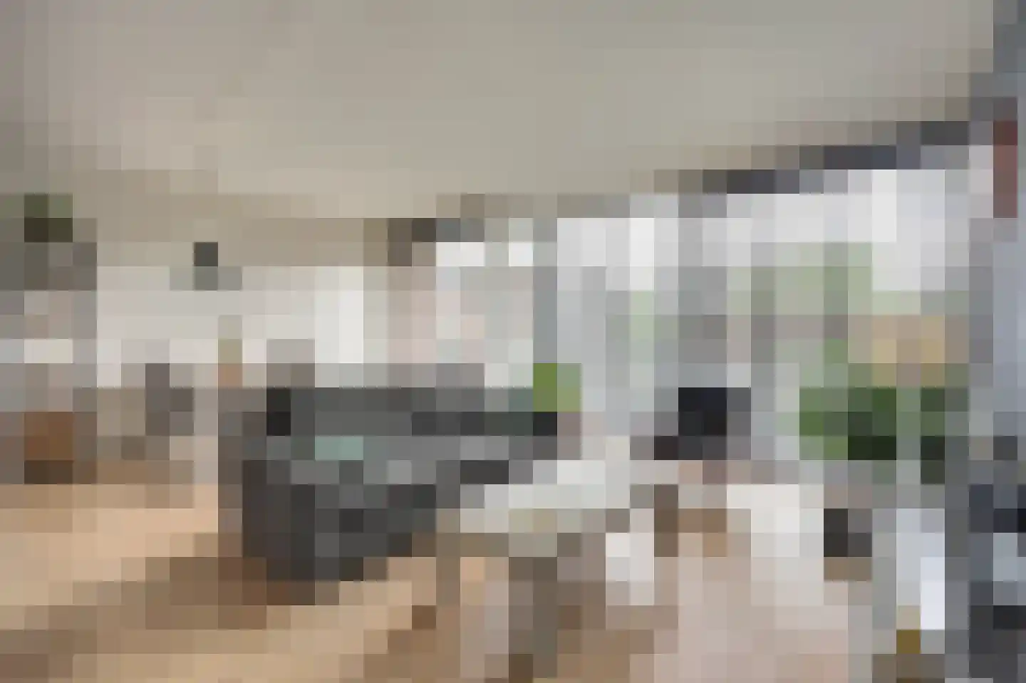 Essenpassage 23 Gendt thumbnail 5