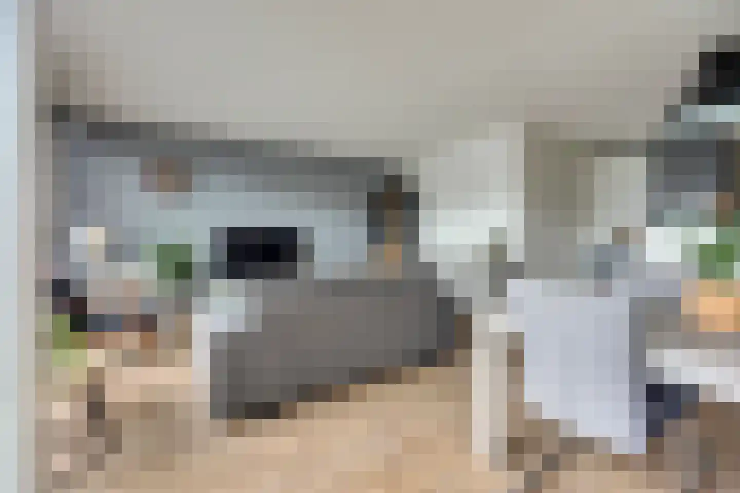 Essenpassage 23 Gendt thumbnail 7
