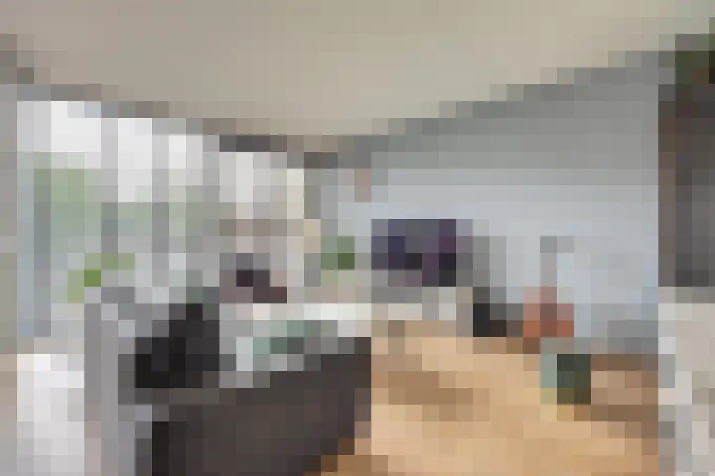 Essenpassage 23 Gendt thumbnail 9
