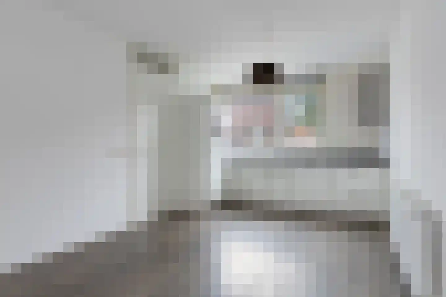 Essenpasstraat 15 Gendt thumbnail 10