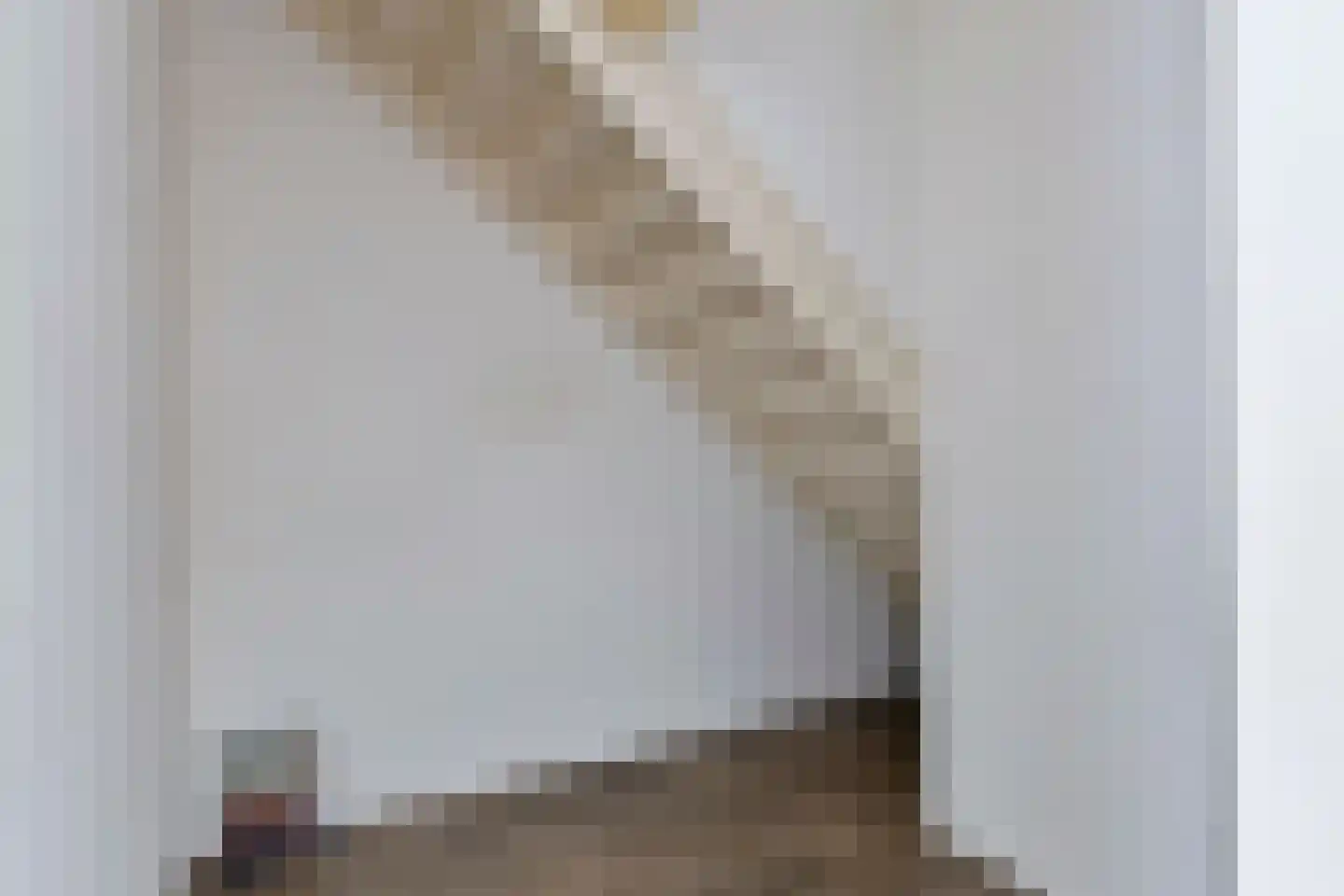 Essenpasstraat 15 Gendt thumbnail 13