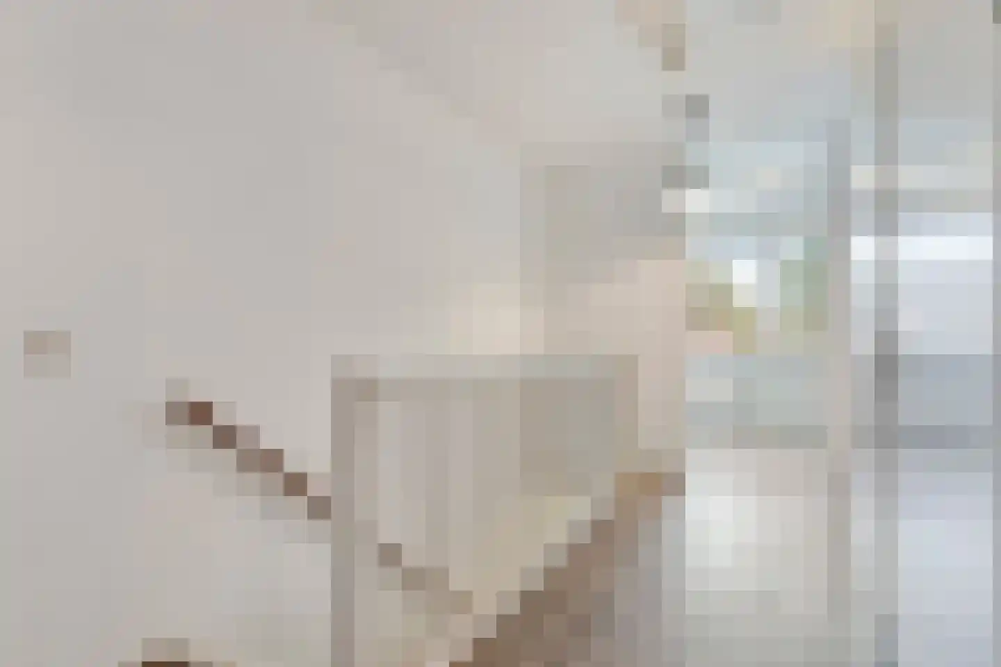 Essenpasstraat 15 Gendt thumbnail 14