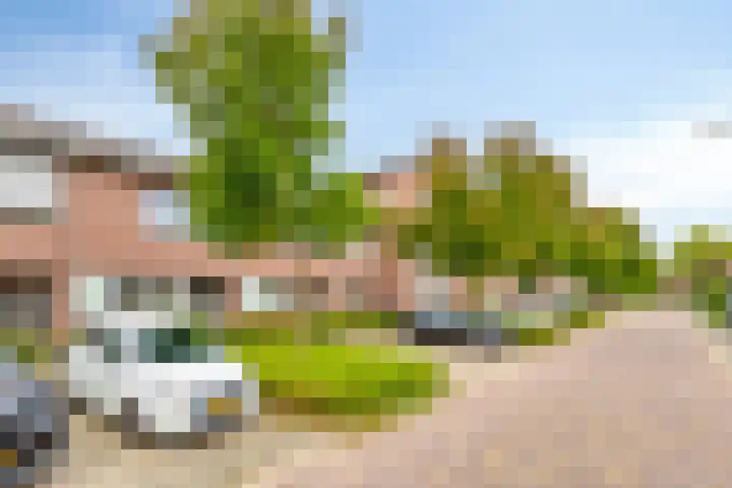 Essenpasstraat 15 Gendt thumbnail 7