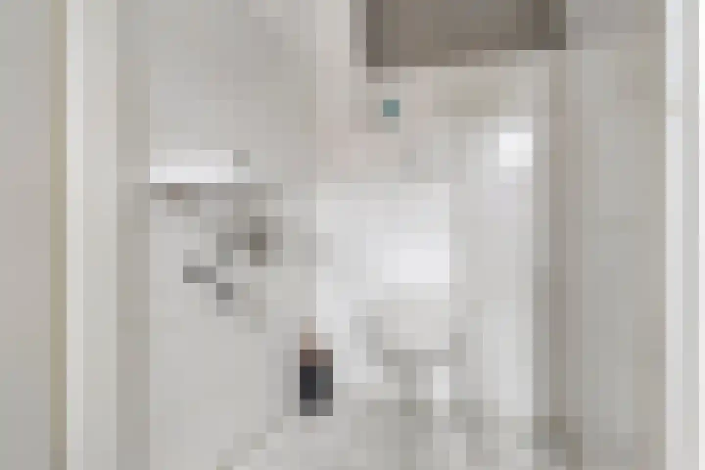 Essenpasstraat 15 Gendt thumbnail 9
