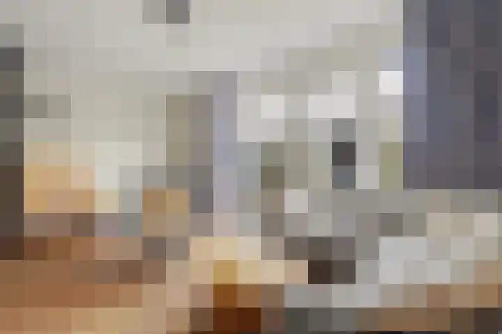 Essenpasstraat 17 Gendt thumbnail 6