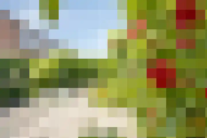 Essenplein 3 Drunen thumbnail 25