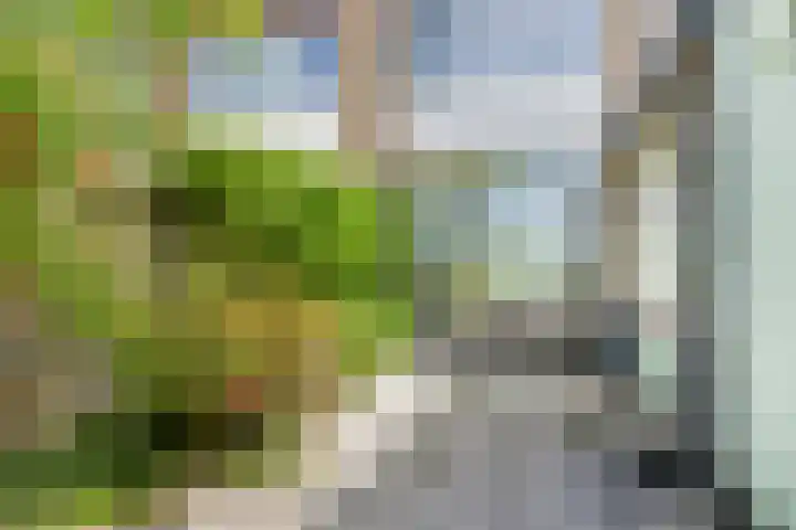 Essenplein 3 Drunen thumbnail 26