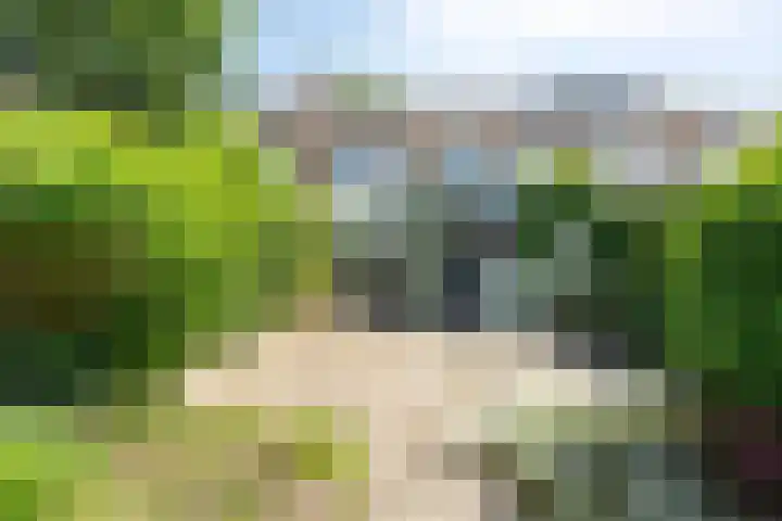 Essenplein 3 Drunen thumbnail 27