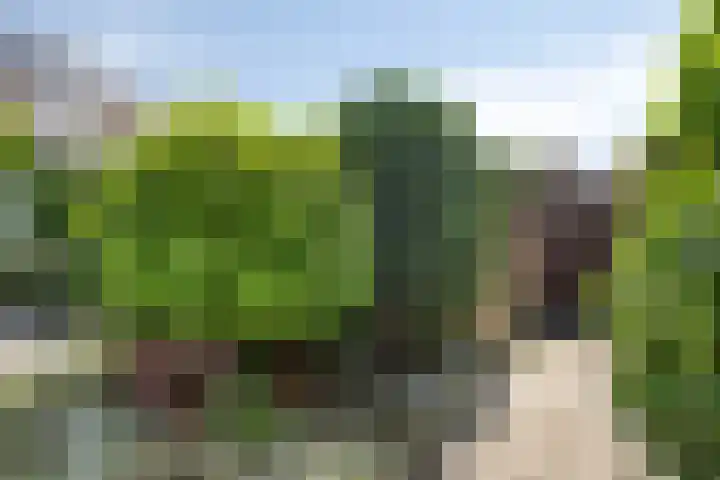 Essenplein 3 Drunen thumbnail 28