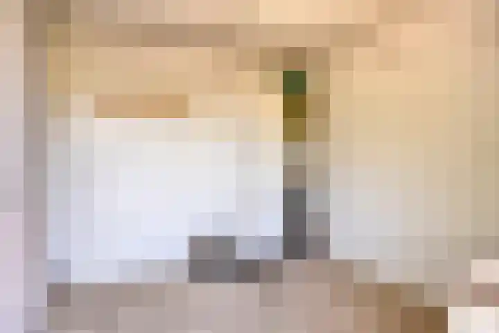 Essenplein 3 Drunen thumbnail 32