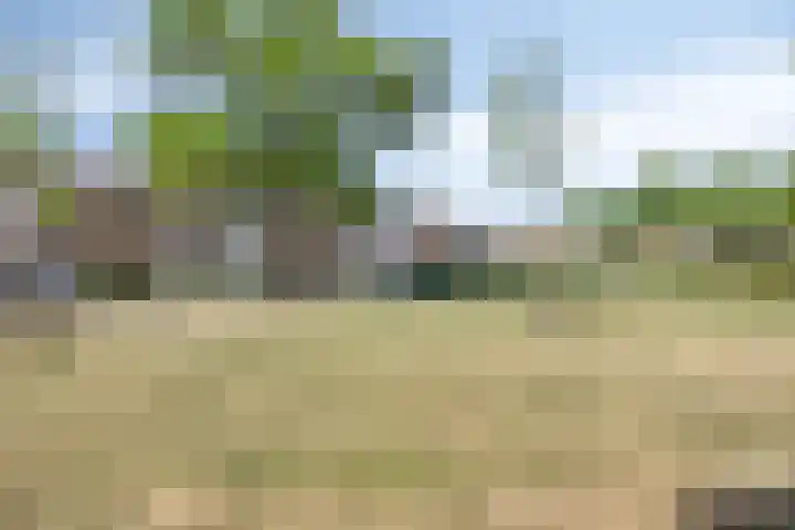 Essenplein 3 Drunen thumbnail 35