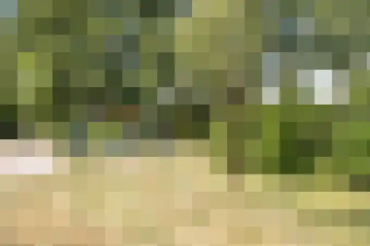 Essenplein 3 Drunen thumbnail 37