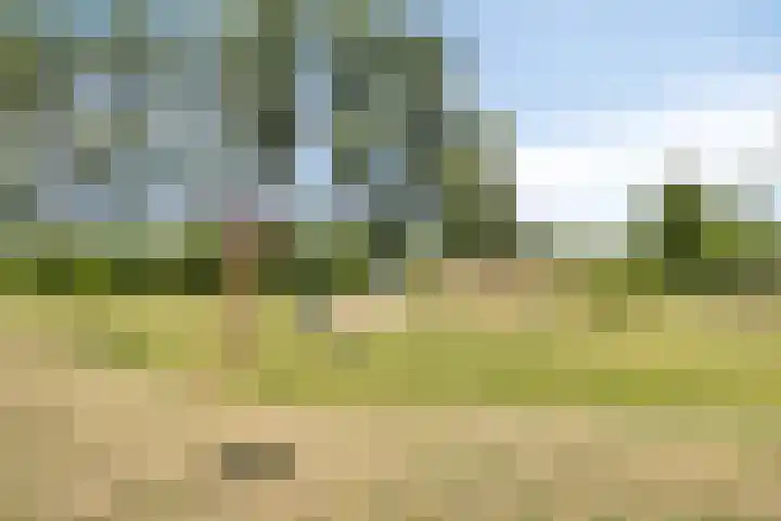 Essenplein 3 Drunen thumbnail 38