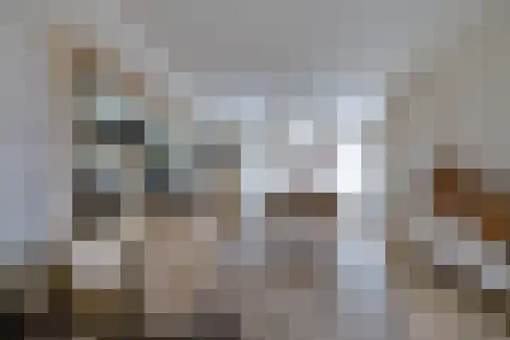 Essenrijs 21 St. Willebrord thumbnail 11
