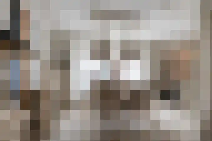 Essenrijs 21 St. Willebrord thumbnail 12