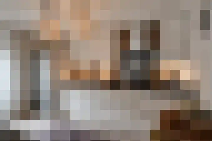 Essenrijs 21 St. Willebrord thumbnail 14