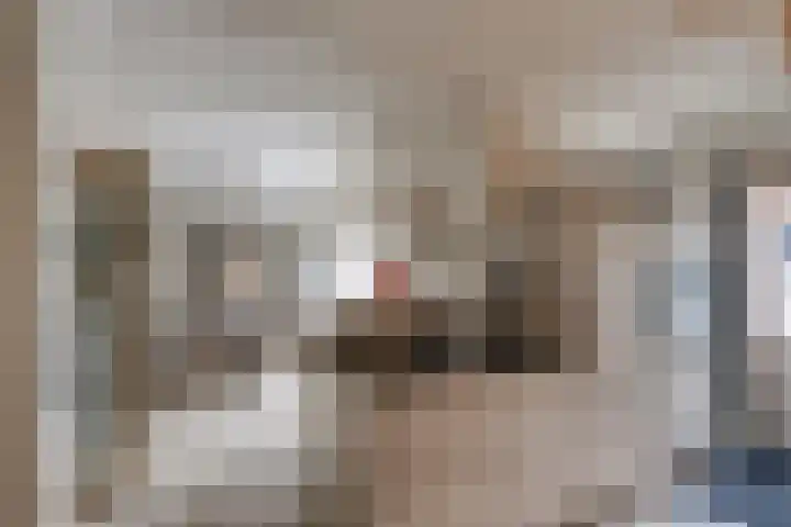 Essenrijs 21 St. Willebrord thumbnail 15