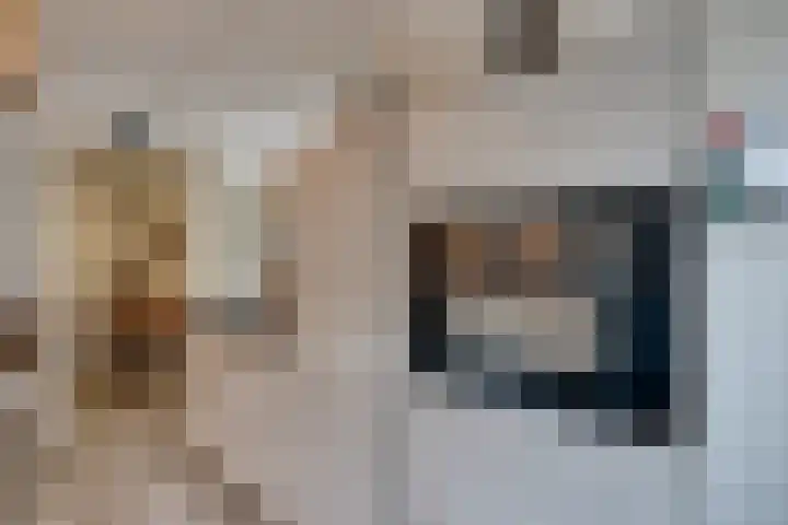 Essenrijs 21 St. Willebrord thumbnail 16