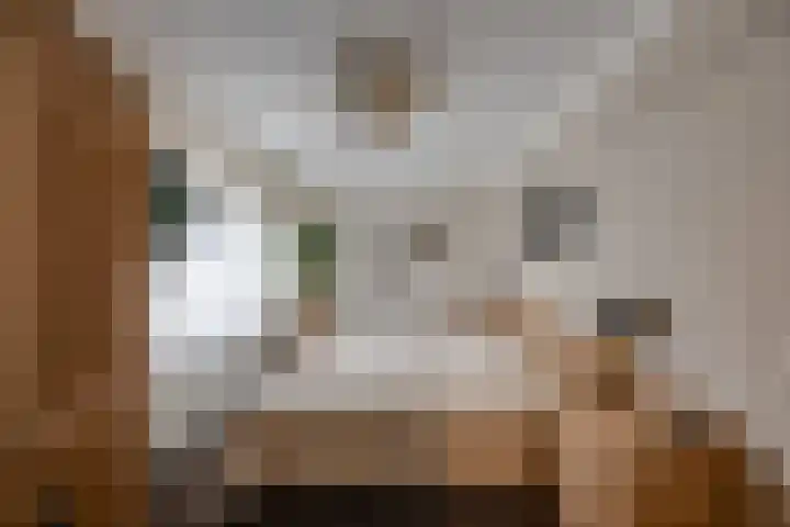 Essenrijs 21 St. Willebrord thumbnail 19