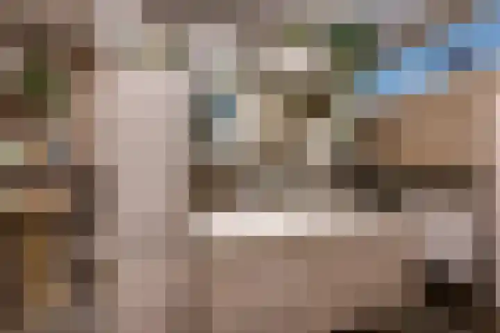 Essenrijs 21 St. Willebrord thumbnail 24