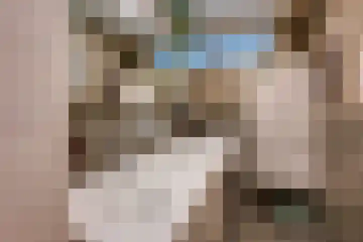 Essenrijs 21 St. Willebrord thumbnail 25