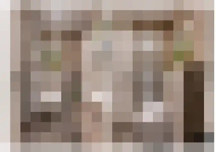 Essenrijs 21 St. Willebrord thumbnail 27