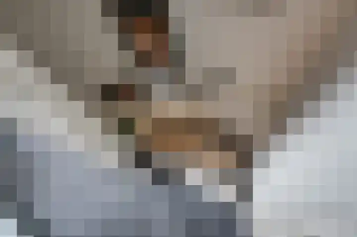 Essenrijs 21 St. Willebrord thumbnail 28