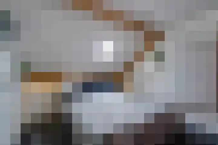 Essenrijs 21 St. Willebrord thumbnail 29