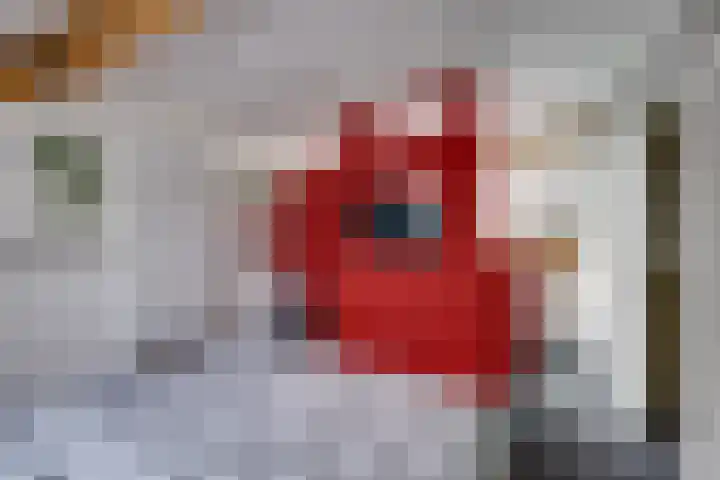 Essenrijs 21 St. Willebrord thumbnail 30