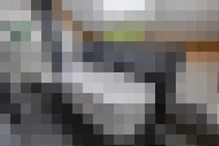 Essenrijs 21 St. Willebrord thumbnail 32