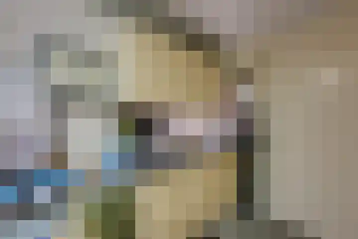 Essenrijs 21 St. Willebrord thumbnail 34
