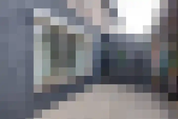 Essenrijs 21 St. Willebrord thumbnail 35