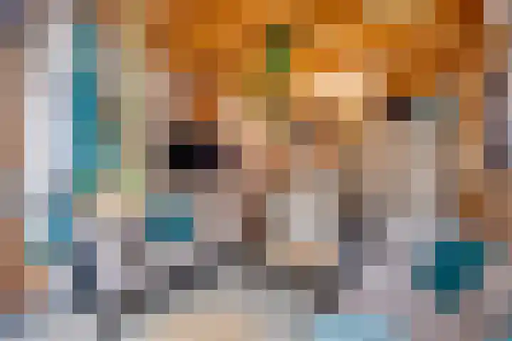 Essenrijs 21 St. Willebrord thumbnail 36