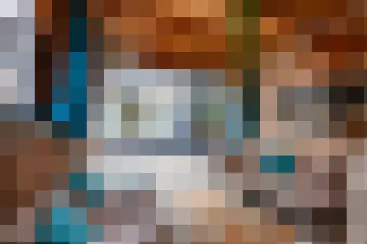 Essenrijs 21 St. Willebrord thumbnail 37