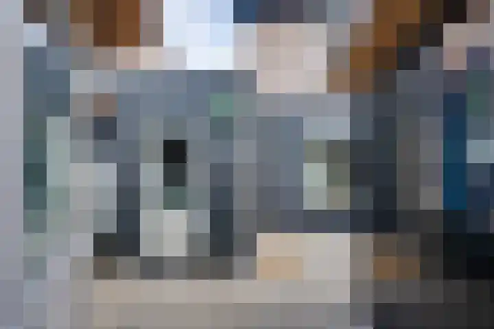 Essenrijs 21 St. Willebrord thumbnail 39