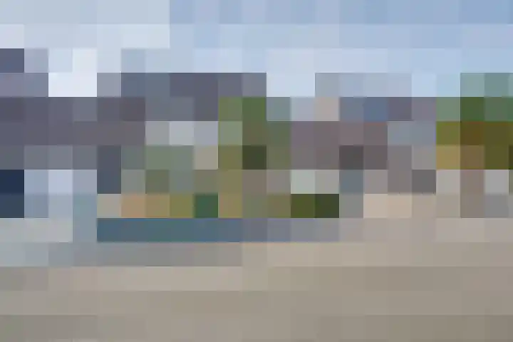 Essenrijs 21 St. Willebrord thumbnail 4