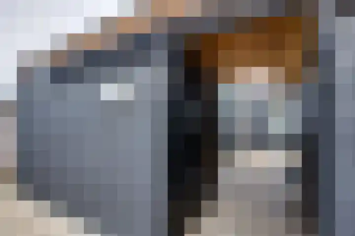 Essenrijs 21 St. Willebrord thumbnail 40