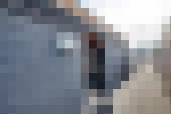 Essenrijs 21 St. Willebrord thumbnail 41