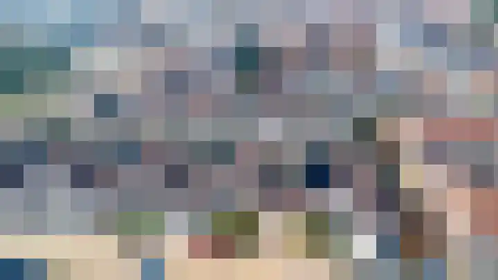 Essenrijs 21 St. Willebrord thumbnail 42