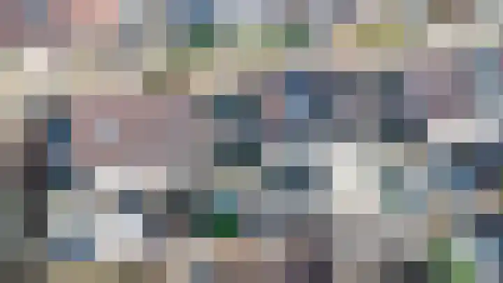Essenrijs 21 St. Willebrord thumbnail 43