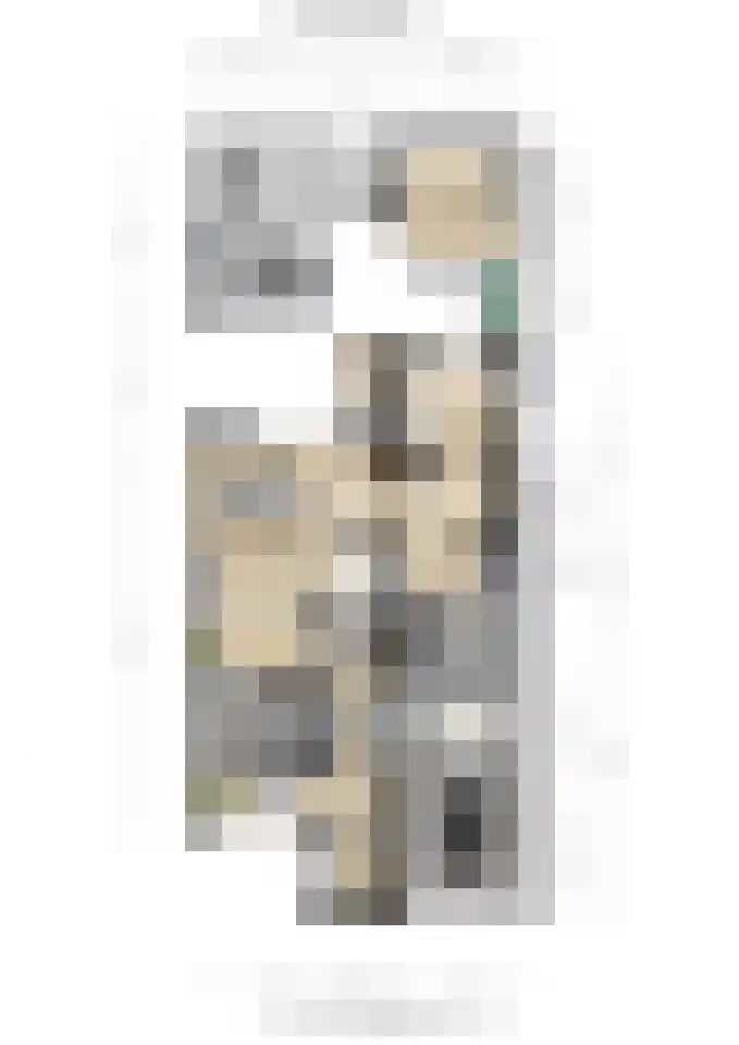 Essenrijs 21 St. Willebrord thumbnail 44