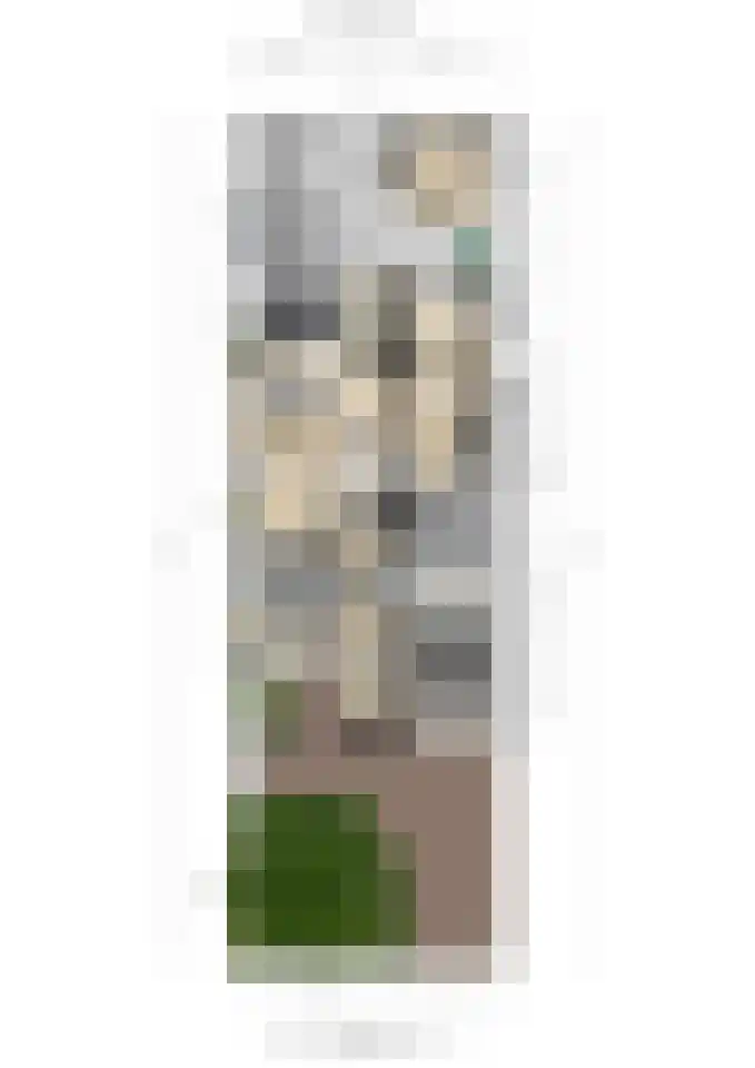 Essenrijs 21 St. Willebrord thumbnail 45