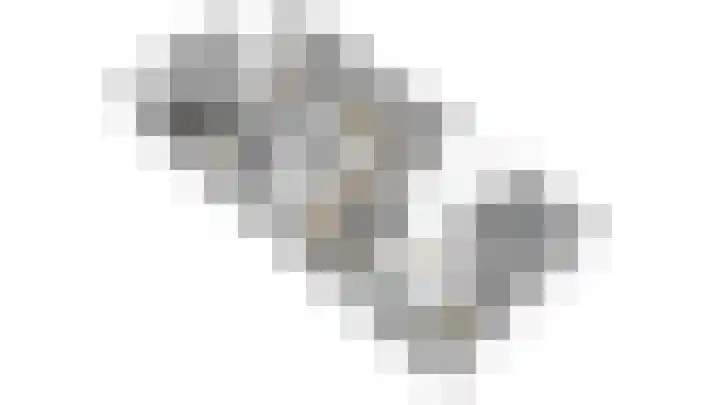 Essenrijs 21 St. Willebrord thumbnail 46