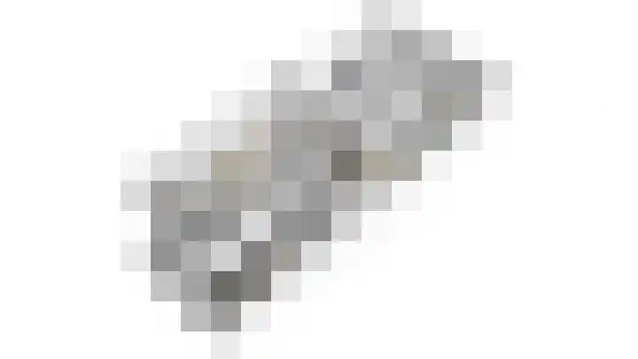 Essenrijs 21 St. Willebrord thumbnail 47