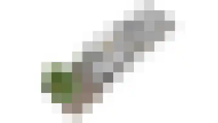 Essenrijs 21 St. Willebrord thumbnail 48