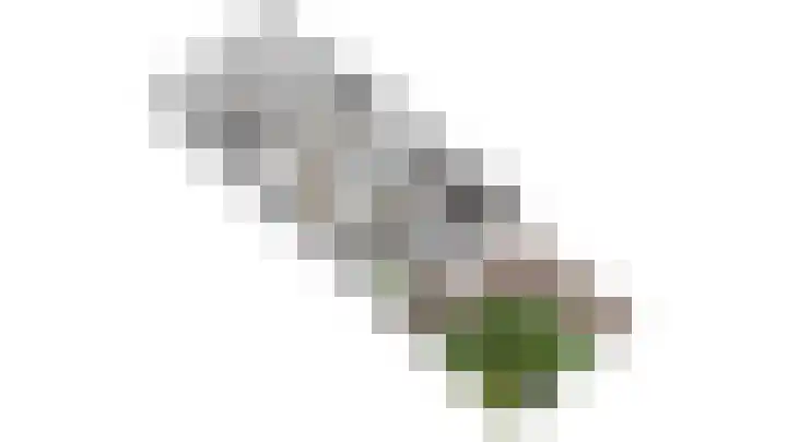 Essenrijs 21 St. Willebrord thumbnail 49