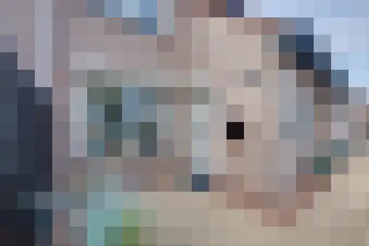Essenrijs 21 St. Willebrord thumbnail 5