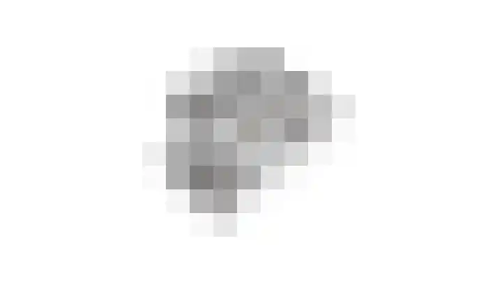 Essenrijs 21 St. Willebrord thumbnail 51