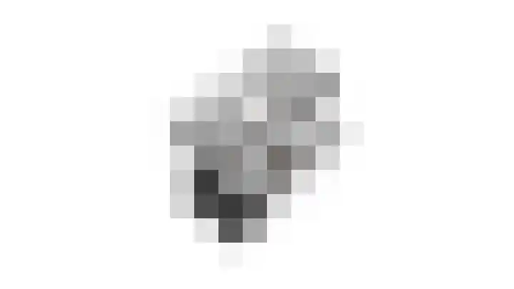 Essenrijs 21 St. Willebrord thumbnail 52
