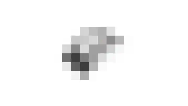 Essenrijs 21 St. Willebrord thumbnail 54